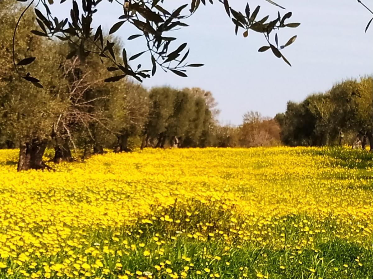 מונופולי Masseria - Trulli Genius Loci Dimore מראה חיצוני תמונה